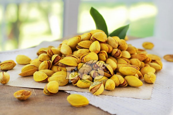 Дилдо бар жопты блят Порно секс жопа