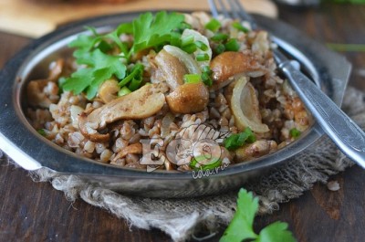 Полезный рецепт приготовления гречневой каши с сушеными грибами - сочетание вкуса и польза для здоровья Гречневая каша с сушеными грибами: рецепт приготовления и польза